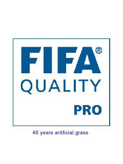 Профессиональное качество FIFA