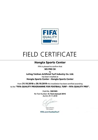 Выдержка из Программы качества FIFA для футбольных полей