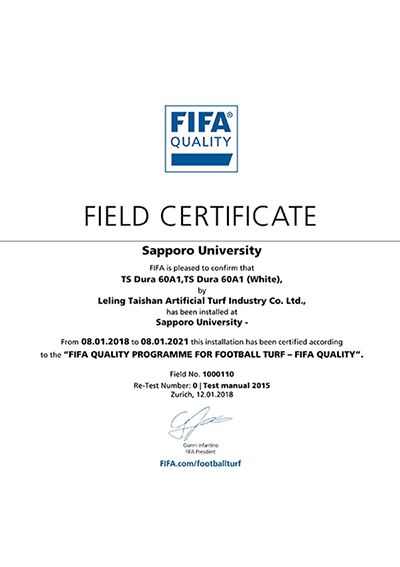 Сертификат качества FIFA (Япония)