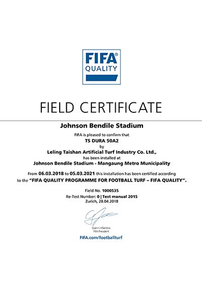 Сертификат качества FIFA (Южная Африка)