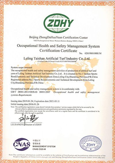 Сертификат системы менеджмента профессионального здоровья и безопасности.